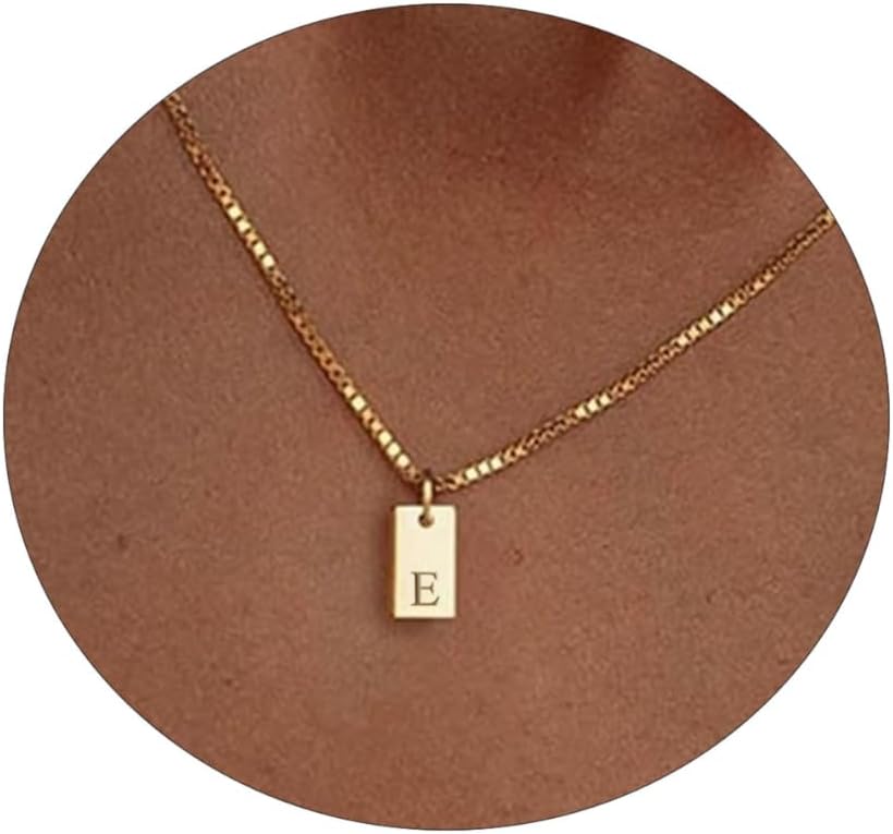 Initial Necklaces for Women 14K Gold Plated Name Tag Letter Necklace Dainty Initial Necklace Personalized Initial Pendant Family Gifts Jewelry