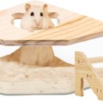 Hamster Sand Bath Container Small Animal Sand Bath Shower, Hamster Sand Box with Ladder for Easy Cleaning, Perfect for Dwarf Hamsters, Gerbils, and Chinchillas Pet Bathing Accessories (1 Pcs)