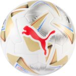 Puma Cumbre CONMEBOL Copa America FIFA Match Ball – Official Match Ball for High-Level Soccer Games, Size 5 (PUMA White-PUMA Gold)