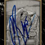 Rhino Signed 2017 UD Goodwin Champions Card #116 WWE WWF ECW TNA Impact – Autographed Soccer Cards