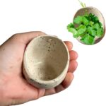 AGLOO Handmade Pottery Herb Stripper Bowl – Ceramic Herb Peeler & Stripper Tool for Kitchen, BBQ, and Picnics (white)
