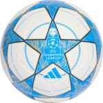 adidas UEFA Champions League Training Soccer Ball