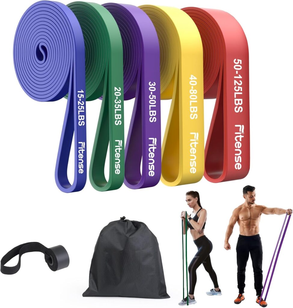 Resistance Bands Set – Pull Up Bands for Men Women, Exercise Bands Resistance with Door Anchor, Training Poster & Pouch for Body Stretching, Pull Up Assist