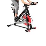 Sunny Health & Fitness Indoor Cycling Exercise Bike with Heavy 49 LB Chrome Flywheel, 275 LB Maximum User Weight SF-B1002 + Home Gym Foam Floor Protector Mat