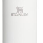 Stanley IceFlow 2.0 Fast Flow Tumbler with Handle 30 oz | Twist On Angled Spout Lid | Leakproof Water Bottle | Insulated Stainless Steel | BPA-Free | Frost