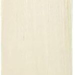 Autograph Signature Mini Cricket Bat (15 Inches) by Naqqash Sports