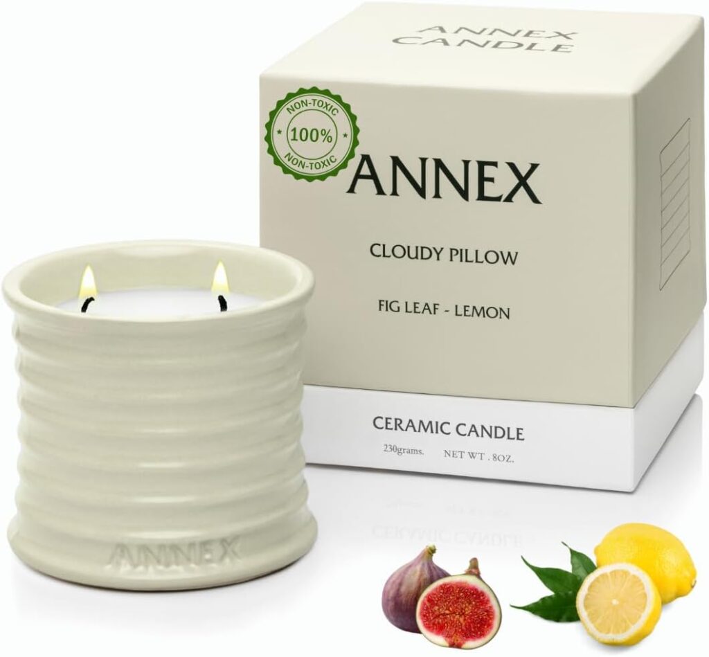 Scented Luxury Citronella Candles outdoor, Mosquito Bug Repellent | Handmade Ceramic Jars, Soy Wax | Cloudy Pillow – Fig Leaf & Lemon, Large Natural Candle | Non Toxic, 2 Wicks, Reusable Big Beige Jar