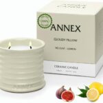 Scented Luxury Citronella Candles outdoor, Mosquito Bug Repellent | Handmade Ceramic Jars, Soy Wax | Cloudy Pillow – Fig Leaf & Lemon, Large Natural Candle | Non Toxic, 2 Wicks, Reusable Big Beige Jar