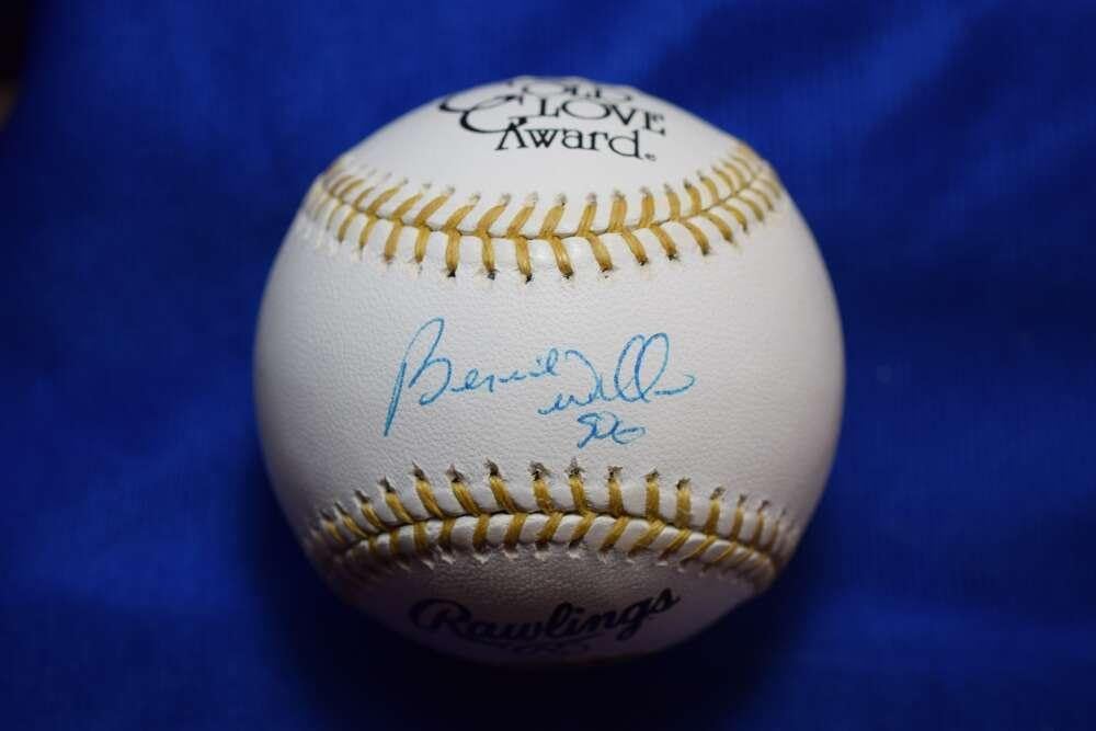 Bernie Williams PSA DNA Autograph Major League Glove Signed Baseball – Autographed MLB Gloves