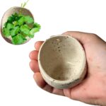 Handmade Pottery Herb Stripper Bowl, Ceramic Herb Peeler with Multiple Hole Sizes, Kitchen Tool for Herb Leaf and Root Removal, Ideal for Cooking & BBQ (White)