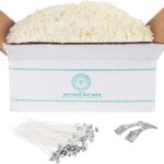 Hearts & Crafts Soy Candle Wax Kit – 10 lb Wax Flakes with 100 Cotton Wicks and 2 Wick Holders – DIY Supplies for Crafting Candles, Tarts, and Scented Creations