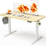 48×24 Inches Height Adjustable Electric Standing Desk with 2 Hooks for Home Office, Ergonomic Sit Stand up Desk with Splice Board, Oak