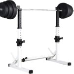 Barbell Rack Stand – Multifunctional Adjustable Squat Rack, Heavy-Duty Dumbbell Rack,Strength Training Dip Station, Home Gym Equipment Max Load 550lbs