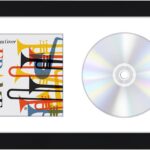 Americanflat 6.5×12 CD Frame Display Case with Shatter-Resistant Glass – Album Cover Art and CD Display Frame with Engineered Wood Molding – Brooklyn Portrait Collection – Tabletop and Wall – Black