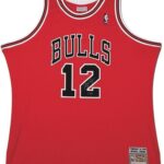 Michael Jordan Signed Autographed 1990 Mitchell & Ness #12 Jersey Bulls UDA – Autographed NBA Jerseys