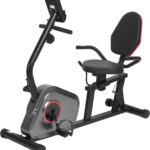 Recumbent Exercise Bike Stationary Bike Exercise Bikes for Home with 8 Levels Magnetic Resistance 300 LBS Weight Capacity LCD Monitor Heart Rate Handle and Device Holder