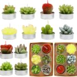 12pcs Cactus Tealight Candles, Handmade Delicate Succulent Cactus Candles Perfect for Birthday Party ,Wedding, Spa, Home Decor