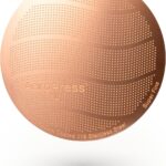 AeroPress XL Gold Tone Stainless Steel Reusable Filter – Durable Metal Coffee Filter, Sustainable, Eco-Friendly, Travel-Friendly, Fits XL AeroPress Manual Coffee Makers
