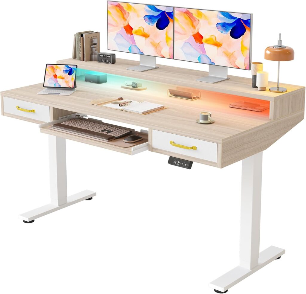 TIQLAB 55 x 28 Inch Height Adjustable Electric Standing Desk with Double Drawers&Keyboard Tray, Stand Up Desk with LED Strips&Monitor Stand, Light Walnut