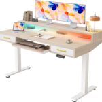 TIQLAB 55 x 28 Inch Height Adjustable Electric Standing Desk with Double Drawers&Keyboard Tray, Stand Up Desk with LED Strips&Monitor Stand, Light Walnut