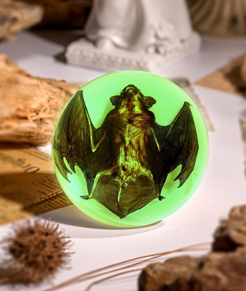 Taxidermy Bat, Luminous Bat Taxidermy Animals, Glow in the Dark Oddities Taxidermy, Bat in Resin for Science Classroom Specimens Education, Gift for Taxidermy, Bat Decor, Oddities, Biology Enthusiasts