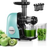 Juicer Machines, HOUSNAT Professional Celery Slow Masticating Juicer Extractor Easy to Clean, Cold Press Juicer with Quiet Motor and Reverse Function for Fruit & Vegetable, Brushes & Recipes Included