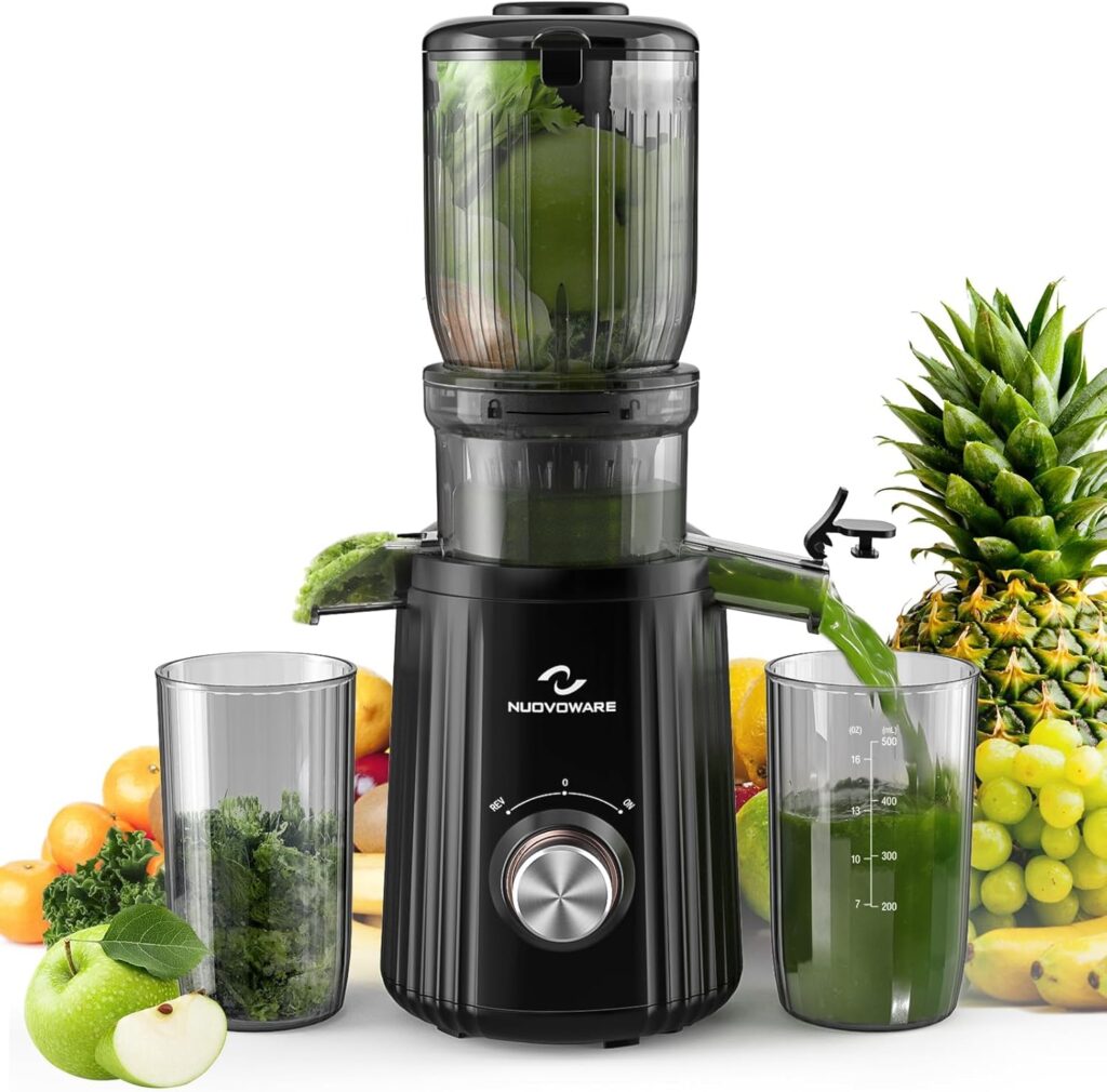 Nuovoware Cold Press Juicer 1.25”, 250W Masticating Juicer Machine Large Feed Chute Fit Whole Fruit Vegetable, High Juice Yield 2 Filters, BPA Free, Easy to Clean, Black