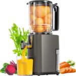 Cold Press Juicer, 5.5inch Wide Feed Chute Juicer Machine, Slow Masticating Juicer for Whole Vegetables & Fruits, Gray
