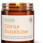 Citrus Sunshine Scented Candle, Many Scents to Choose from, All Natural Non-Toxic Soy Wax, Handmade in The USA (Citrus Sunshine)