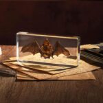 Taxidermy Bat, Real Bat Specimens Animal Specimen in Resin for Science Classroom Science Education, Great Gift for Fans of Taxidermy, Animal Skull, Oddities, Biology(5.5×2.5×0.7 Inch)