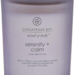 Chesapeake Bay Candle Medium Jar Scented Candle Serenity + Calm (Lavender Thyme) Home Décor Orange Gifting Idea Burn Time of 50 Hours