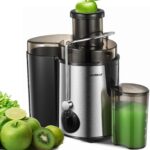 Juicer Machine, HOUSNAT Centrifugal Juicer,Extractor Max Power 800W Juice, 65MM Chute for Whole Fruit and Vegetables, Juice Extractor with 3 Speeds Quick Juicing, Easy to Clean, BPA Free,Silver