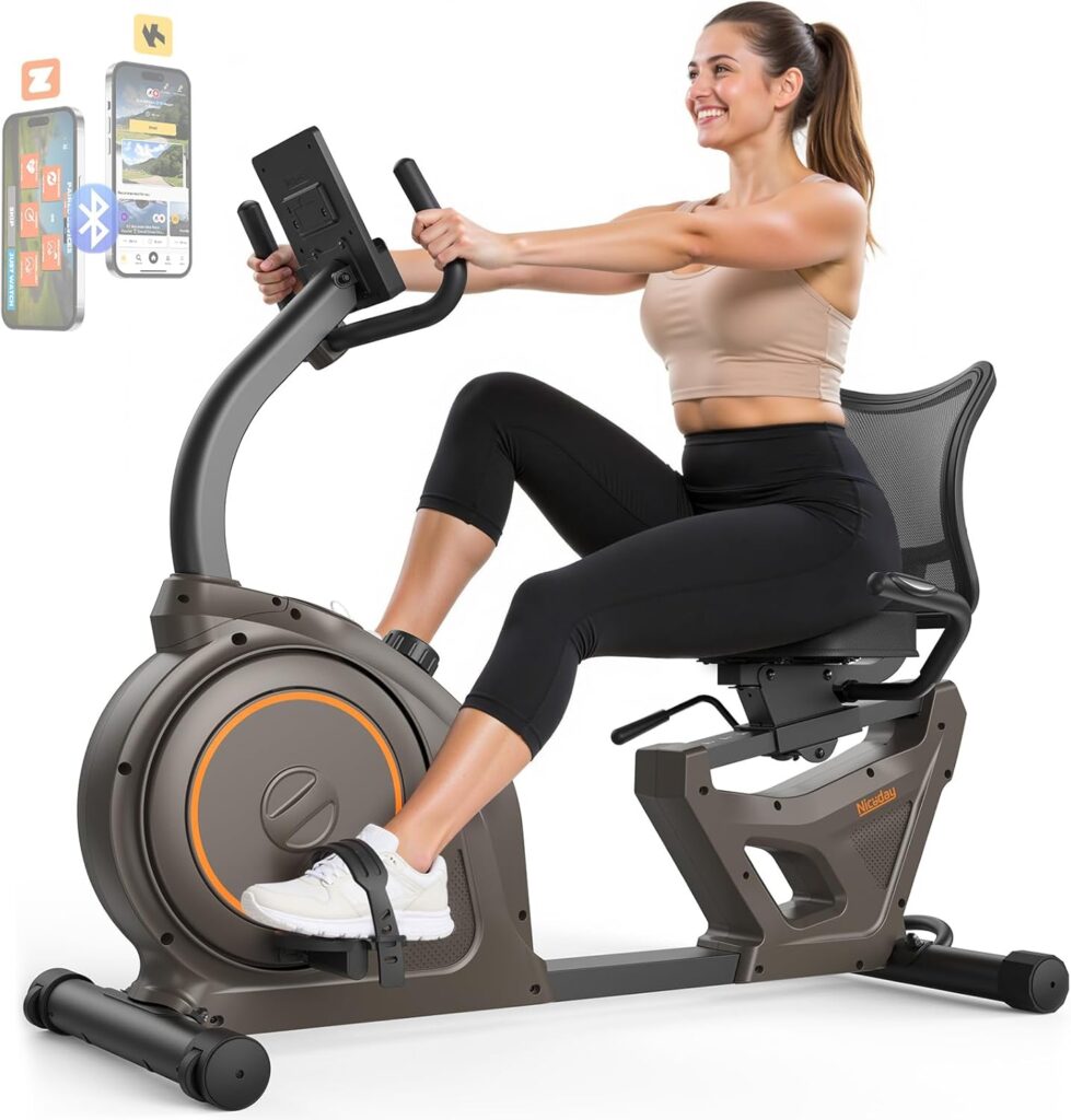 Niceday Recumbent Exercise Bike, Recumbent Bike for Home, Recumbent Stationary Bike 400LBS Weight Capacity, Magnetic Recumbent Bike with Smart APP, LCD Monitor, Heart Rate Handle