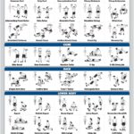 Palace Learning Dumbbell Workout Exercise Poster – Free Weight Body Building Guide | Home Gym Chart – LAMINATED, 18″ x 24″