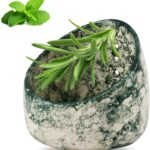 Herb Stripper Bowl, Handmade Ceramic Herb Stripper, Pottery Kitchen Efficient Leaf Removal Tool Available in Different Hole Sizes for Peeling The Stemmed Leaves(Color:Green)