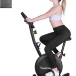 Exercise Bike Stationary Bikes for Home Adjustable Indoor Cycling Bike Magnetic Resistance Workout Bike Exercise Machine with Multi-Function Comfortable Seat, Black