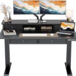 ErGear Electric Standing Desk with 4 Drawers, 48″ x 30″ Height Adjustable Desk with Storage, C-Clamp Mount Compatible, Computer Home Office Table with Cable Management Tray, Black
