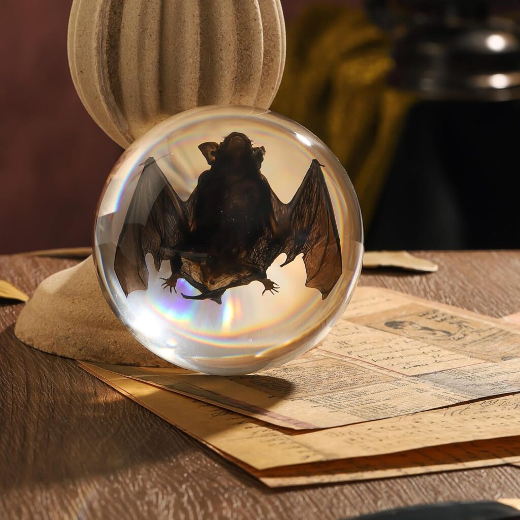 Taxidermy Bat, Real Bat Specimens Animal Specimen in Resin for Science Classroom Science Education, Great Gift for Fans of Taxidermy, Animal Skull, Oddities, Biology(Round 3.5 inch)