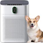 MORENTO Air Purifiers for Home Large Room up to 1076 Sq Ft with PM 2.5 Display Air Quality Sensor for Pet Hair, Double-Sided Air Inlet, 24db, White, 1 Pack + 2 Pack Filters