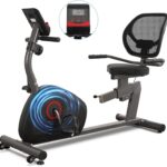 BODIOO Recumbent Exercise Bike for Home Use, Quiet Recumbent Stationary Bikes for Adults & Seniors, 8-Level Resistance, Adjustable Seat, Workout Equipment for Gym, Pulse Sensors & LCD Display