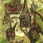 Hanging Bats : Signed LE Art Print : Sandra Watercolors™ California