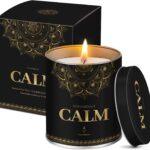 WarmEmbrace Lavender Scented Candles, 9 Oz Jar Candles for Home, Office, Meditation, Yoga, Candles for Women & Men, Birthday, Anniversary, Valentine’s Day Present, Elegant Decorative Accent