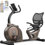 Niceday Recumbent Exercise Bike, Indoor Recumbent Exercise Bike for Home with 400LBS Capacity, High-end Stationary Bike with Smart Bluetooth