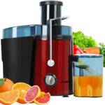 Panana Juicer Centrifugal Juicer Machine, Juicer with 1000W Motor, Dual Speed Juice Maker for Fruit, Vegetables, Exlarge 3″ Feed Chute, BPA-Free