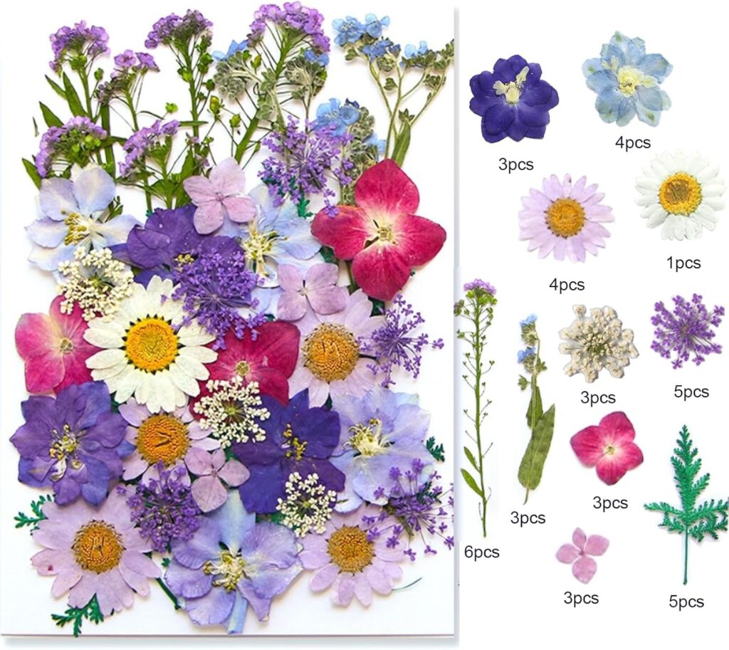 40 Pcs Dried Pressed Flowers for Resin DIY Art Crafts Natural Herbs Dry Plant Leaf Floral Epoxy Jewelry Real Colorful Leaves Flower Decor Cakes Phone Cases Candles Handmade Soap Purple