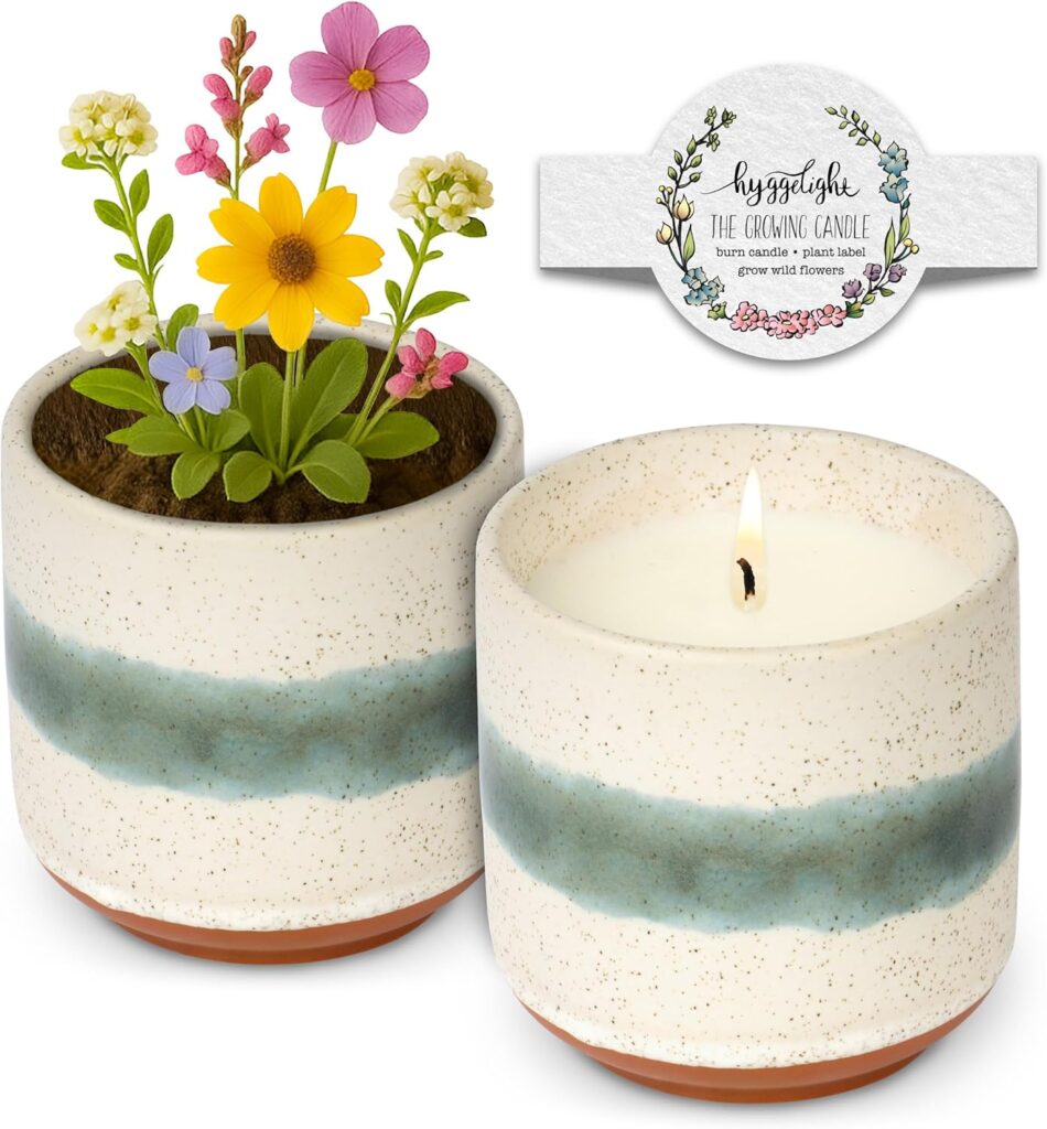 Hyggelight – The Growing Candle, Lavender Scented, 8.5oz Ceramic Pot, Single Wick Aromatherapy Candles, 100% Soy for Women and Men, Edith