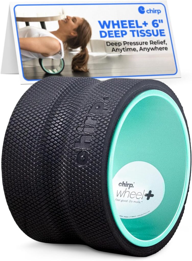Chirp Wheel Foam Roller – Targeted Back & Neck Relief, Lumbar Spine Stretcher, Spinal Decompression Back Stretcher, Massage Roller with Density Foam for Physical Therapy, Supports 500lbs, 6-Inch Mint