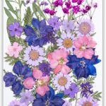 35Pcs Dried Pressed Flowers for Resin DIY Art Crafts Natural Dry Floral Daisy Epoxy Jewelry Real Rose Flower Decor Cakes Bookmarks Phone Cases Candles Handmade Soap