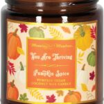 Pumpkin Spice Fall Aromatherapy Candle Non-Toxic Long Lasting | 100% Real Essential Oils, Coconut Wax, Handmade with Love 8oz