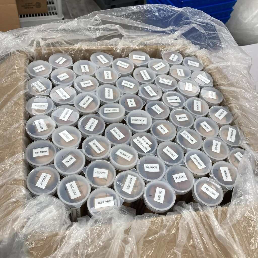 Huge Lot Of 63 Pittsburgh Pirates Greats Signed Mini Baseball Bats – Autographed MLB Bats